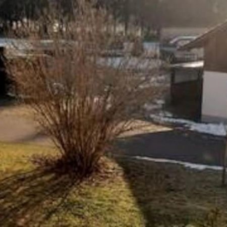 Ferienwohnung Zur Dicken Berta ヴォルフェック エクステリア 写真