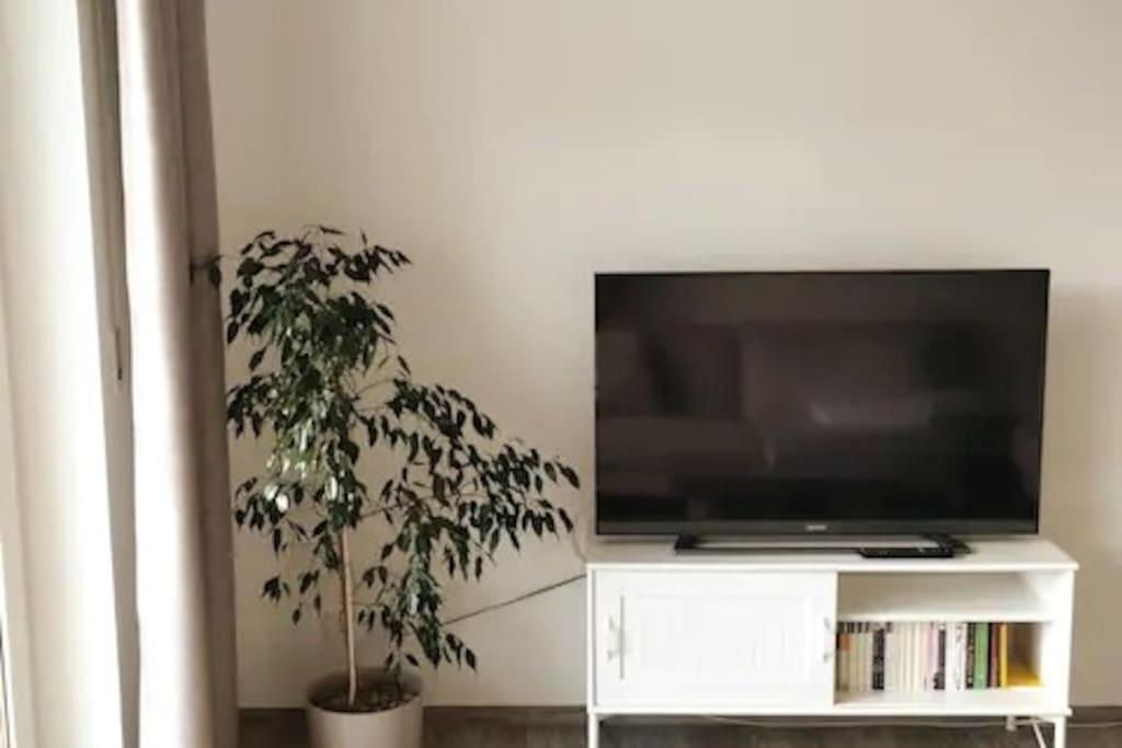 Ferienwohnung Zur Dicken Berta ヴォルフェック エクステリア 写真